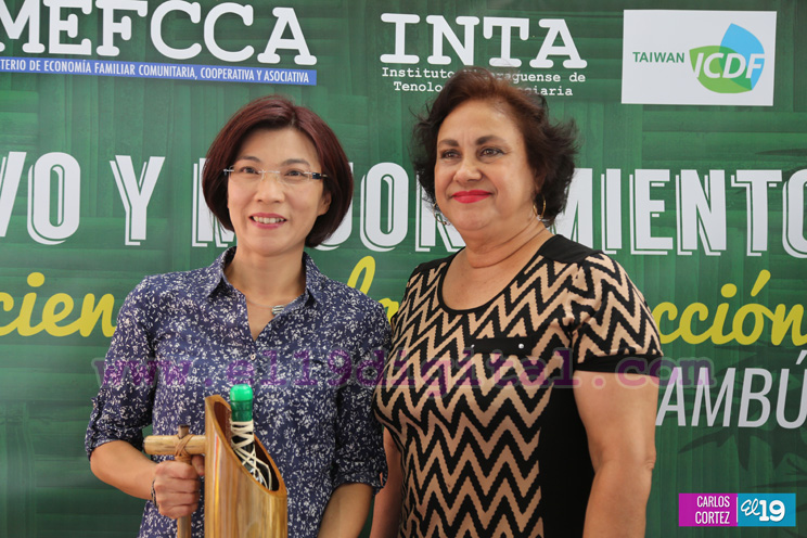 Nicaragua y Taiw&aacute;n promueven proyecto de cultivo y mejoramiento de producci&oacute;n de artesan&iacute;as de bamb&uacute;